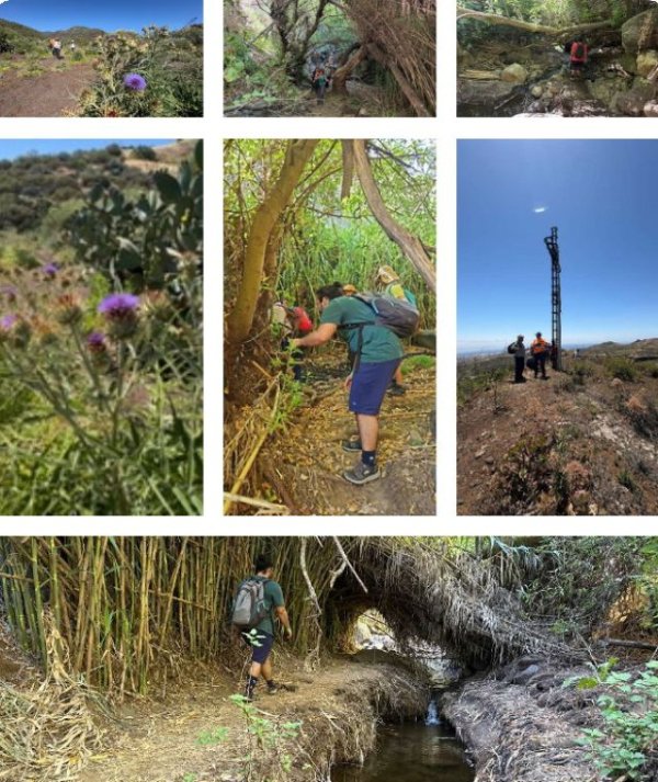 Turc&oacute;n se adentra por los valores de los caminos del Barranco de Los Cern&iacute;calos