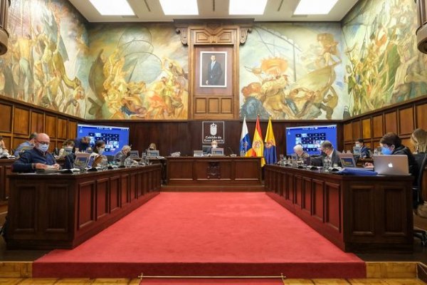 El Pleno del Cabildo aprueba invertir 7,2 millones de euros para hacerse con el 95% del Polígono Industrial de Arinaga