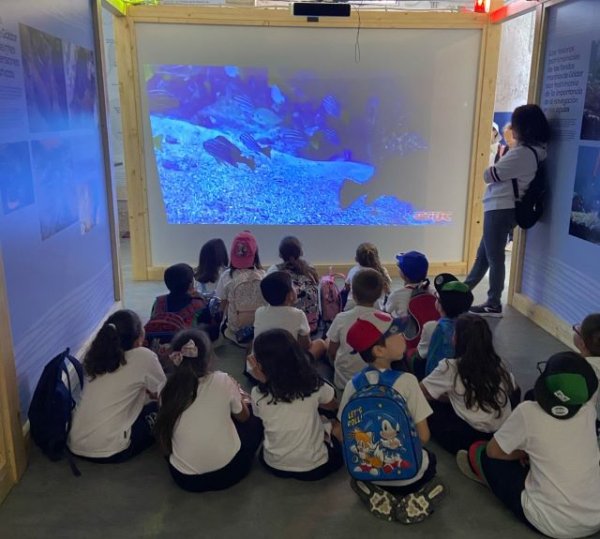 Gáldar: Alumnado del CEIP de Sardina visita el Aula de Mar
