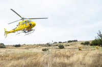 218 efectivos del Cabildo luchar&aacute;n contra el fuego en la Campa&ntilde;a contra incendios 2022