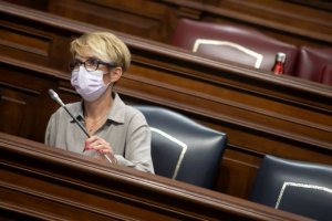 Elena Máñez explica en el Parlamento autonómico los beneficios de la reforma laboral en Canarias