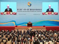 Art&iacute;culo de opini&oacute;n: 'Putin sugiri&oacute; que las inversiones chinas e indias en Rusia promueven objetivos multipolares compartidos'