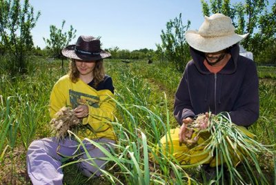 Fademur muestra su satisfacción por el logro del Estatuto de las Mujeres Rurales en Aragón