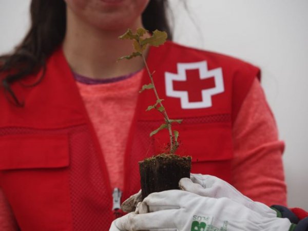 Cruz Roja siembra el futuro: el cuidado del medio ambiente, clave para el empleo verde y la repoblación