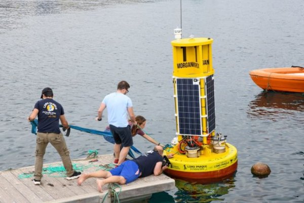 Tenerife: El 90% del calentamiento global lo absorbe el océano