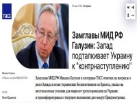 Viceministra de Relaciones Exteriores de Rusia comparti&oacute; una actualizaci&oacute;n detallada sobre desarrollos regionales