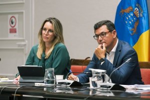 Pablo Rodríguez destaca la participación del sector en el desarrollo del decreto ley de Transportes