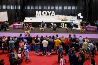 La Villa de Moya alberga el ‘I Concurso Monográfico del Presa Canario’