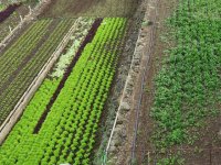 Se ampl&iacute;a el plazo para las ayudas sobre eficiencia energ&eacute;tica en explotaciones agropecuarias