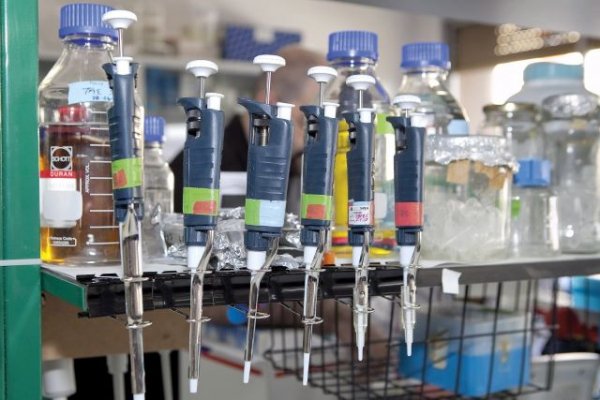 Sanidad notifica dos casos confirmados y tres en estudio de viruela del mono desde ayer