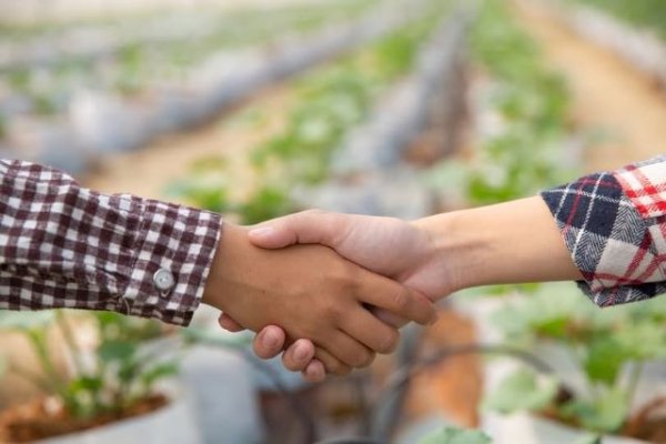 El Gobierno canario destina 300.000 euros para apoyar a las asociaciones profesionales agrarias sin ánimo de lucro