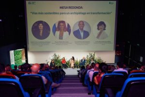 El Gobierno de Canarias presenta la ‘Estrategia Verde’ para alcanzar la autosuficiencia energética en sus vías