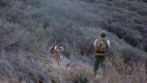 La Gomera: El Cabildo abre la convocatoria de la prueba de aptitud para la obtención de la Licencia de Caza