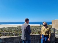 El Gobierno canario abona un anticipo de 1,1 millones a los productores de pl&aacute;tano afectados por el volc&aacute;n