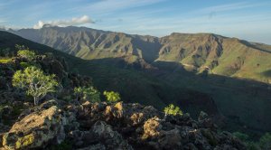 La Gomera: El Patronato de Espacios Naturales da luz verde a diversos proyectos viarios