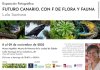 G&aacute;ldar acoge la Exposici&oacute;n Fotogr&aacute;fica &ldquo;Futuro canario, con F de flora y fauna&rdquo;, de Lola Santana en el Museo Ag&aacute;ldar a partir del 8 de noviembre