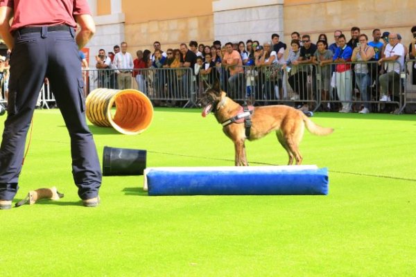 La Feria del Animal de Compañía, Animundo, regresa a Infecar los días 18 y 19 de noviembre