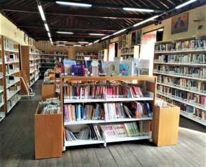Cultura destina 320.000 euros a la mejora de las bibliotecas p&uacute;blicas de Canarias