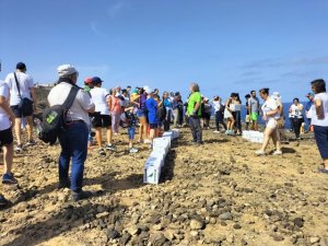 Arucas: Multitudinaria suelta de pardelas en la costa aruquense