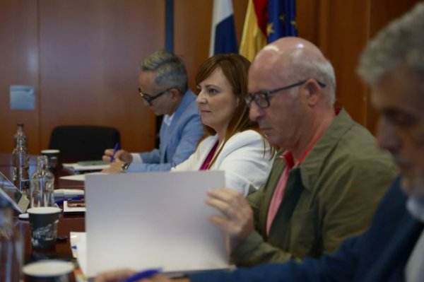 El Gobierno de Canarias inspecciona 90.000 metros cuadrados en Los Rodeos en busca represaliados de la Guerra Civil