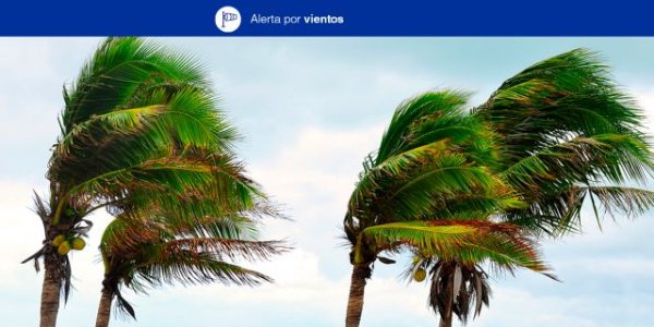 El Gobierno de Canarias declara la situación de Alerta por Viento en Islas occidentales y Gran Canaria