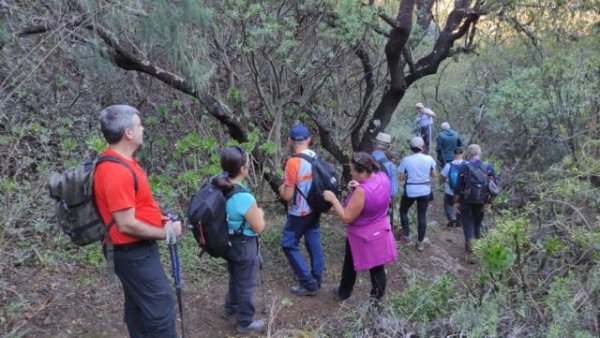 Teror: Deportes abre las inscripciones para la ruta de senderismo ‘Tamadaba – San Pedro’