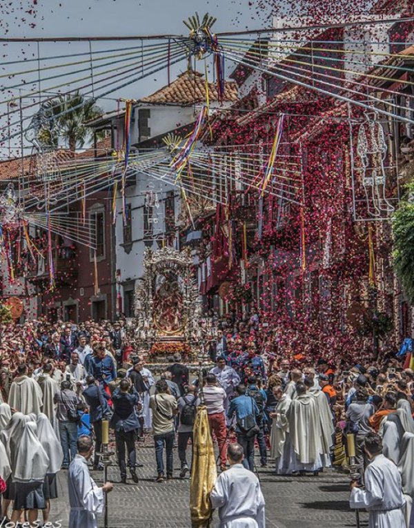 Gran Canaria celebra este jueves el Día del Pino en Teror