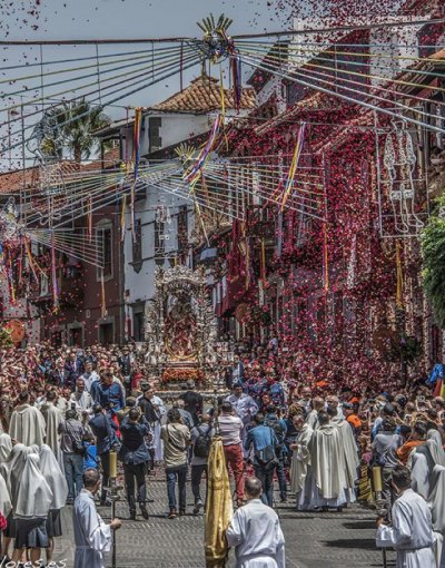 Gran Canaria celebra este jueves el Día del Pino en Teror
