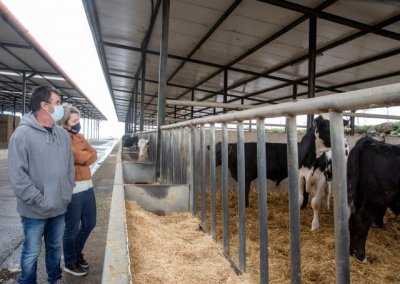 El Gobierno canario destina 4,4 millones de euros en ayudas para las ganader&iacute;as de bovino