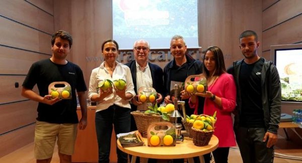 Agaete pone en valor su naranja con jornadas inmersivas a los cultivos del Valle