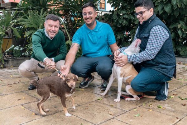 Gáldar: La Plaza de Santiago celebra su I Jornada de Bienestar Animal