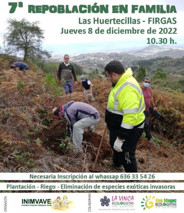 El jueves 8 de diciembre se llevará a cabo una repoblación forestal en la Montaña de Firgas