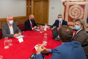 El Cabildo y el Gobierno crean un grupo de trabajo con el sector tomatero