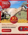 &nbsp;  El Ayuntamiento de Gu&iacute;a suspende la muestra de ganado prevista para hoy domingo dentro de las Fiestas de La Virgen 2025