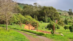 Foresta inscribe la primera finca en Canarias para compensar CO2