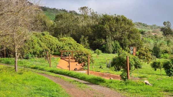 Foresta inscribe la primera finca en Canarias para compensar CO2