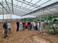 El Gobierno de Canarias y la ULL refuerzan la colaboraci&oacute;n para impulsar la formaci&oacute;n en el sector agrario