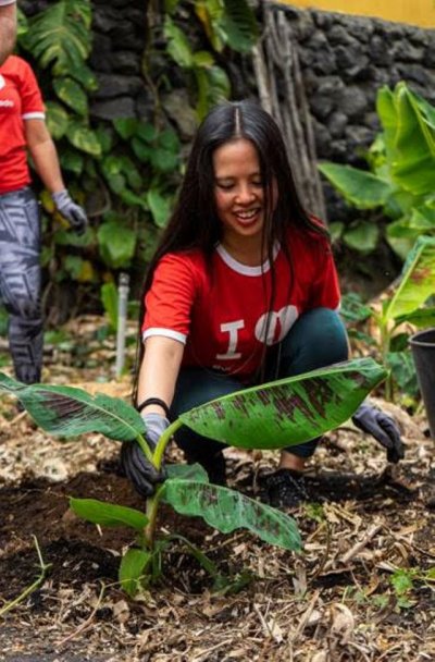 El voluntariado corporativo se suma al proyecto Planta La Palma de Cruz Roja para apoyar a los agricultores afectados