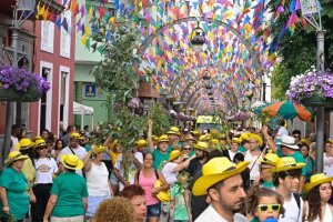 Gáldar: La Bajada de la Rama tiñe de verde las calles de La Montaña y el Casco