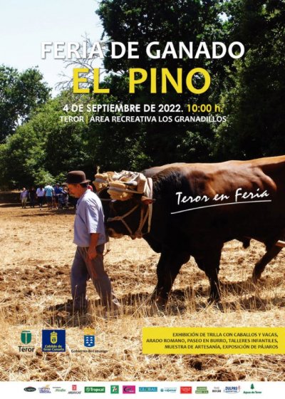Teror: Abierta la convocatoria de participaci&oacute;n en la Feria de Ganado del Pino 2022