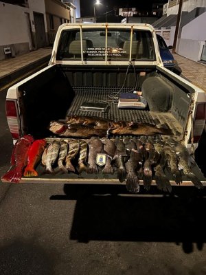 Agentes de Inspecci&oacute;n Pesquera denuncian a dos pescadores submarinos con 29 kilos de pescado ilegal