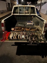 Agentes de Inspecci&oacute;n Pesquera denuncian a dos pescadores submarinos con 29 kilos de pescado ilegal