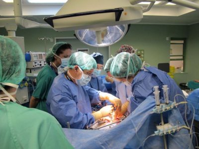 Canarias logra un nuevo récord de donaciones de órganos con un incremento del 19 por ciento y 125 donantes
