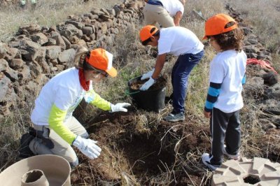 La Gomera presenta el programa de actividades para celebrar el D&iacute;a del &Aacute;rbol