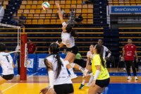 Voleibol: El CV Sayre CC La Ballena busca consolidarse en la Liga Iberdrola ante el Madrid Chamber&iacute;