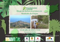 Villa de Firgas: &ldquo;Ecovoluntariado en Acci&oacute;n&rdquo; vuelve a la Monta&ntilde;a de Firgas, para regar laurisilva y term&oacute;filo