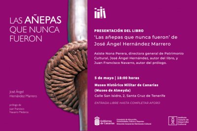 Patrimonio Cultural desvela la verdad de las &ldquo;a&ntilde;epas guanches&rdquo; del Museo de Almeyda