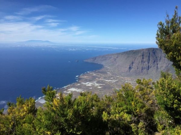 Canarias amplía el periodo de exposición pública de la Ley de Biodiversidad y Recursos Naturales