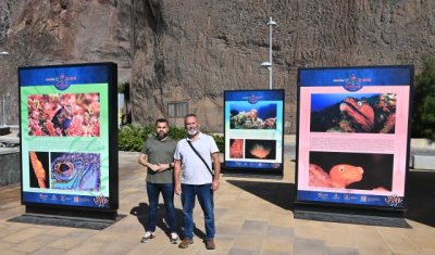 G&aacute;ldar: Los fondos de Sardina &lsquo;emergen&rsquo; con una exposici&oacute;n colectiva sobre los diez a&ntilde;os de historia del FotoSub