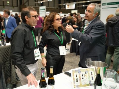 Nueve bodegas canarias participan, de la mano de Proexca, en el Salón de los Mejores Vinos de España